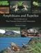 Amphibians & Reptiles: An Introduction to Their Natural History & Conservation
